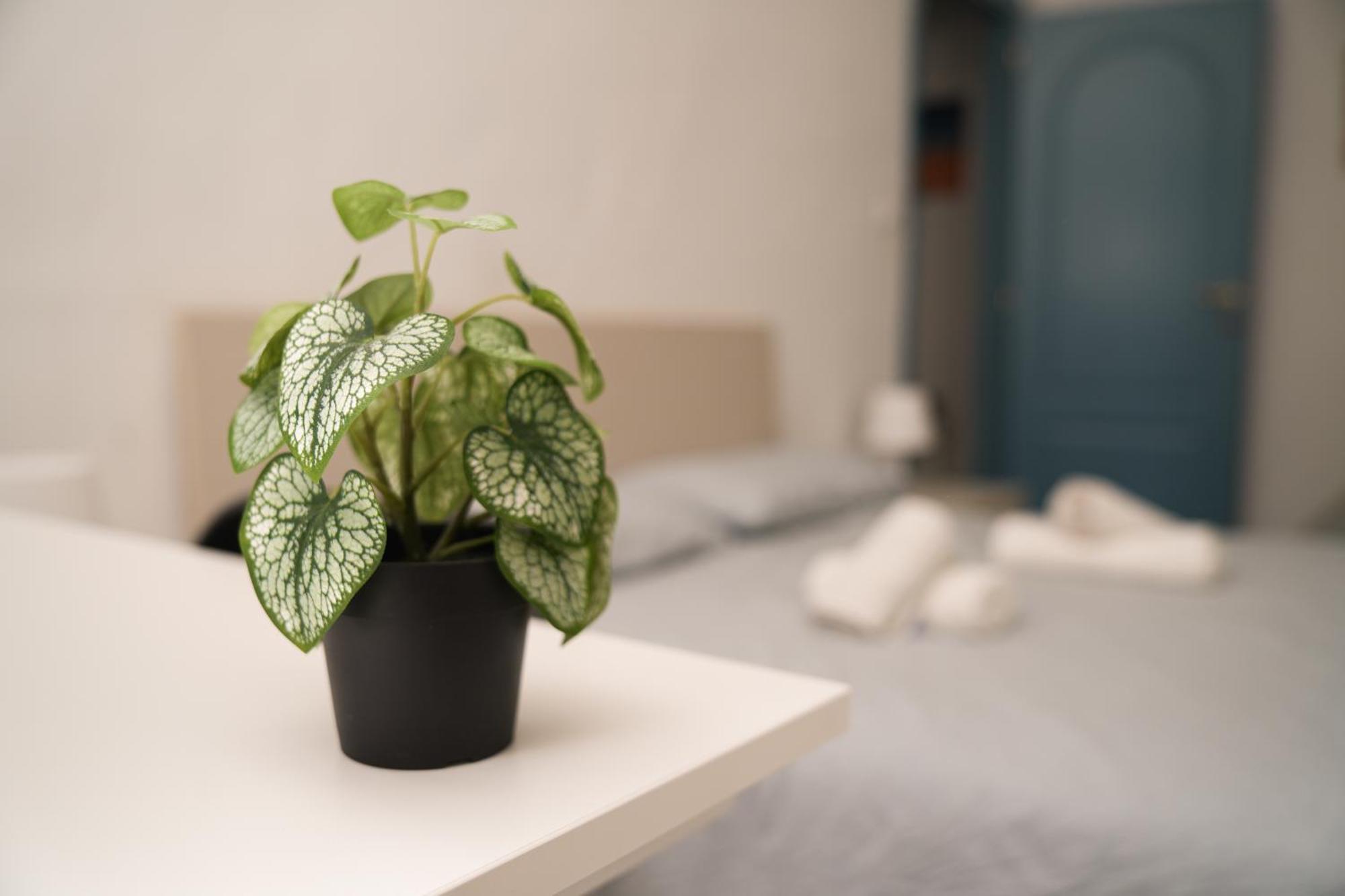 Camyhouse Apartment Turin Luaran gambar