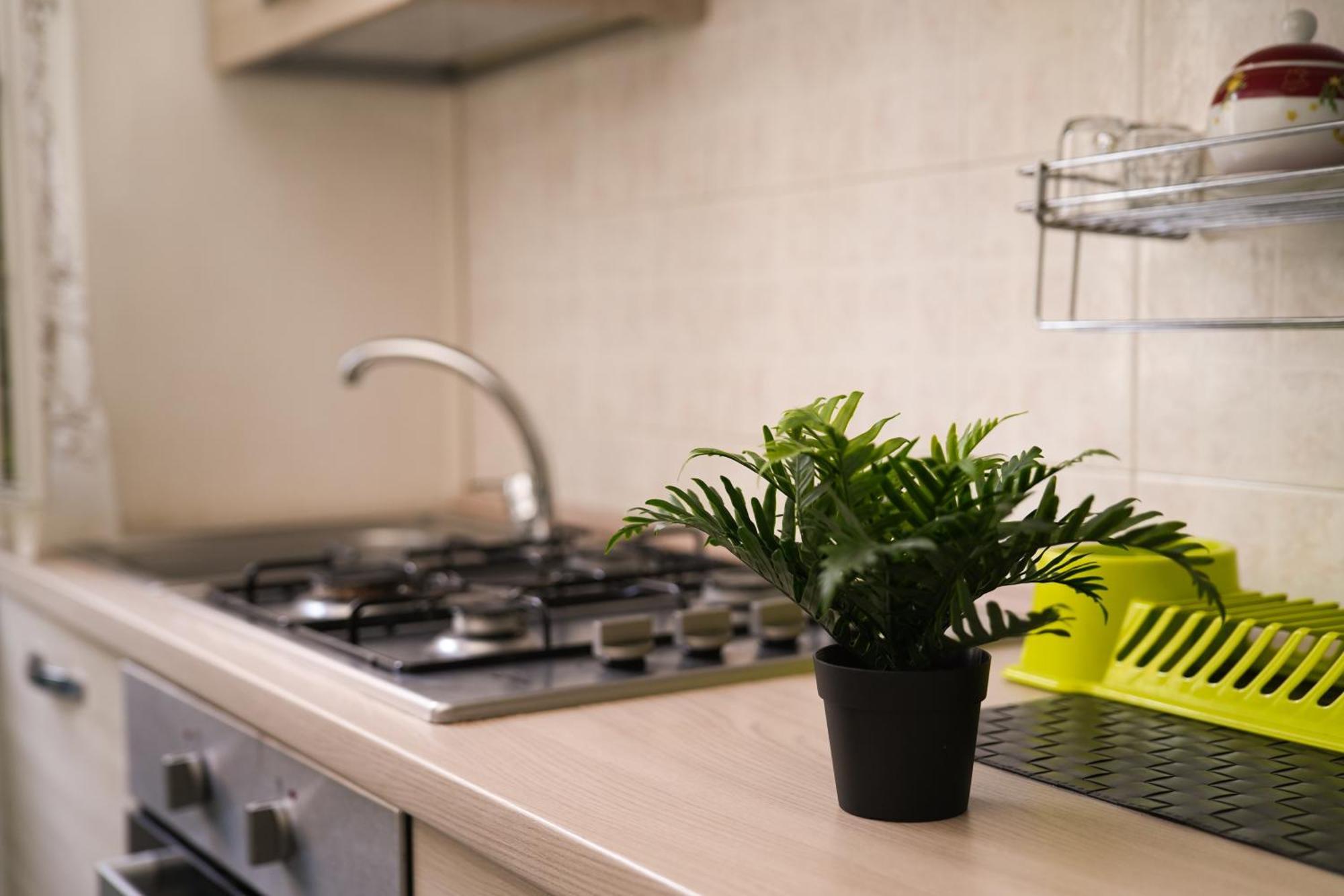 Camyhouse Apartment Turin Luaran gambar
